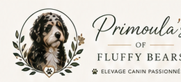 Logo Primoula’s of Fluffy Bears